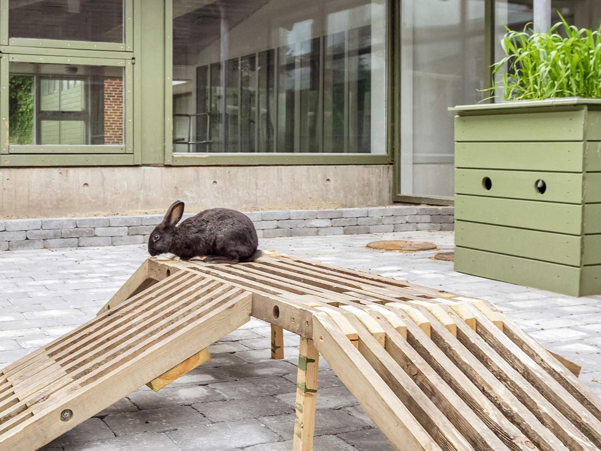 6 Person Holiday Home On A Holiday Park In ジルレジェ エクステリア 写真